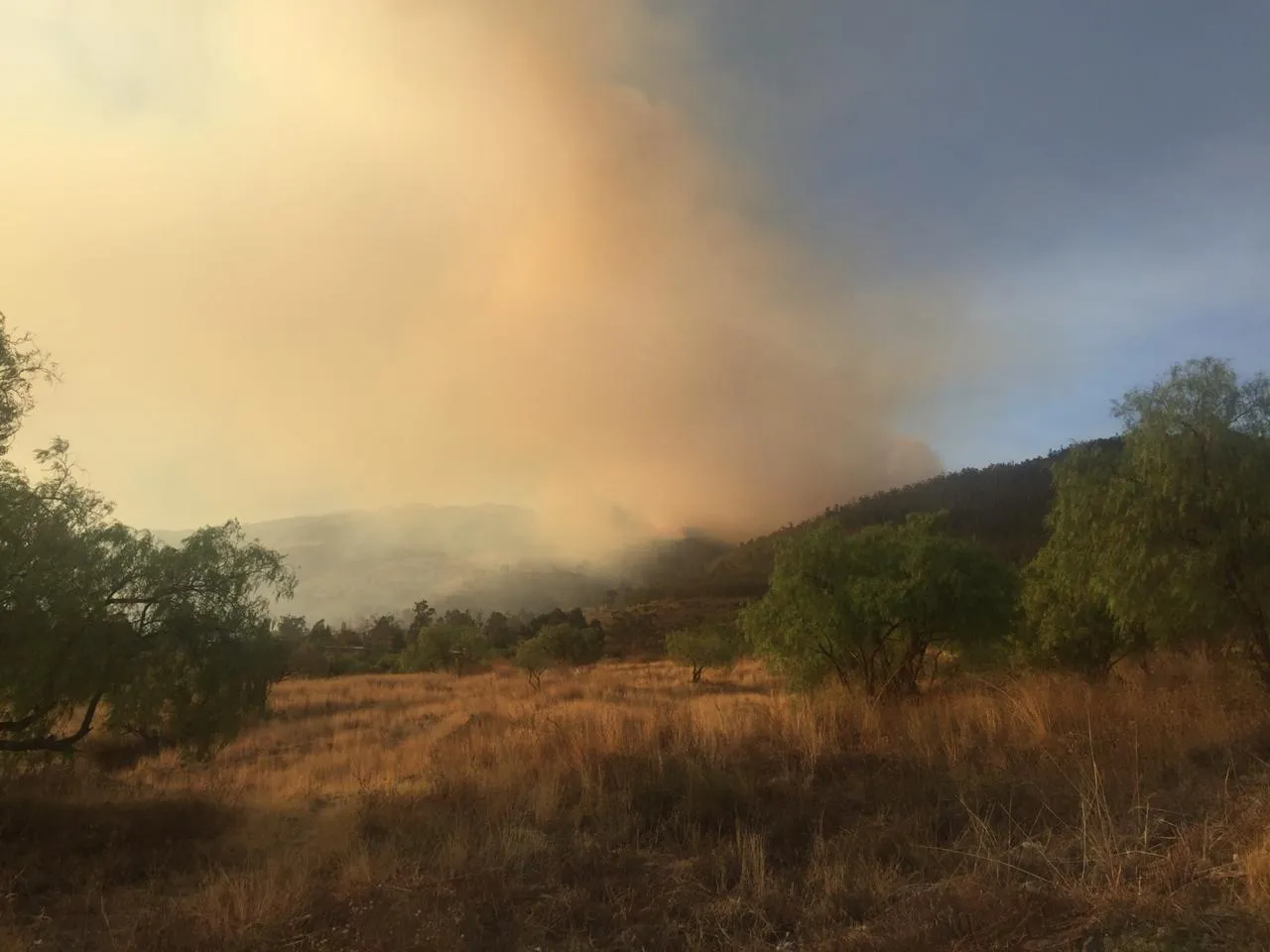 Autoridades y voluntarios tratan de controlar el fuego.
