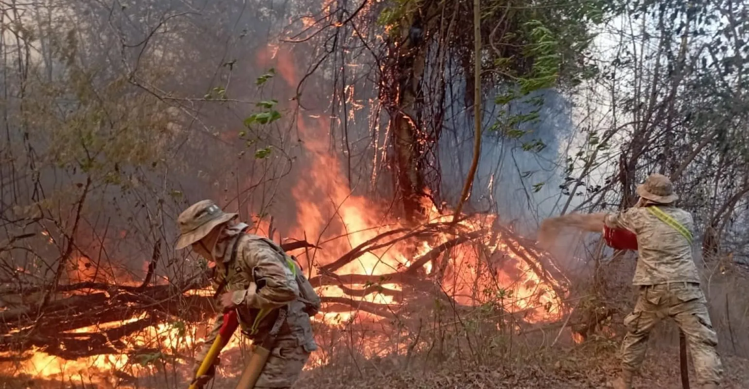 Bomberos combaten incendios de forma inmediata